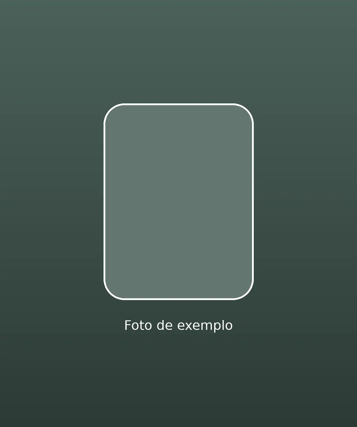 Fonte + cabo originais Apple